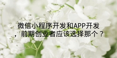 微信小程序开发和APP开发，前期创业者应该选择那个？