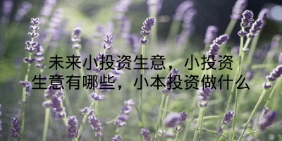 未来小投资生意，小投资生意有哪些，小本投资做什么