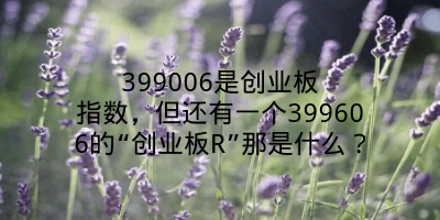 399006是创业板指数，但还有一个399606的“创业板R”那是什么？