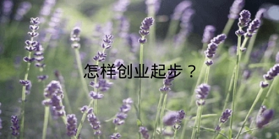 怎样创业起步？