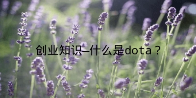 创业知识—什么是dota？