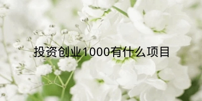 投资创业1000有什么项目