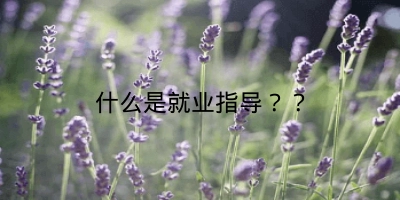 什么是就业指导？？