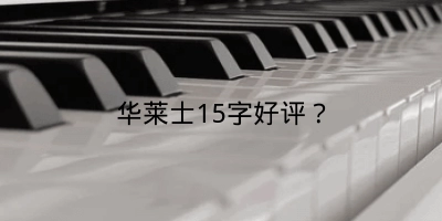 华莱士15字好评？