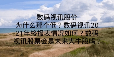 数码视讯股价为什么那个低？数码视讯2021年终报表情况如何？数码视讯股票会是未来大牛股吗？