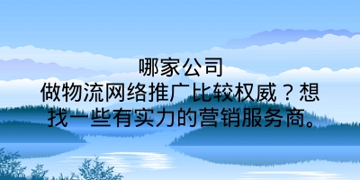 哪家公司做物流网络推广比较权威？想找一些有实力的营销服务商。