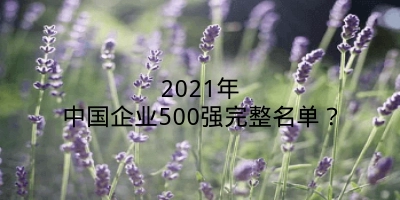 2021年中国企业500强完整名单？