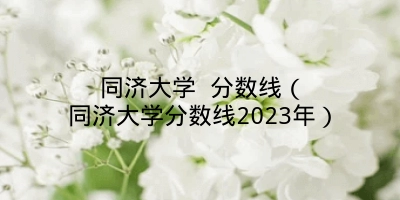 同济大学 分数线（同济大学分数线2023年）