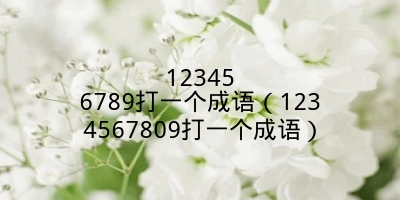 123456789打一个成语（1234567809打一个成语）