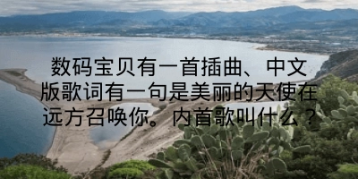 数码宝贝有一首插曲、中文版歌词有一句是美丽的天使在远方召唤你。内首歌叫什么？