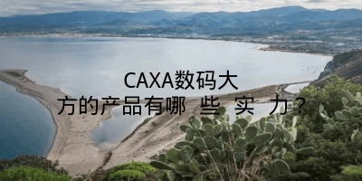 CAXA数码大方的产品有哪 些 实 力？