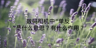 数码相机中“单反”是什么意思？有什么作用？