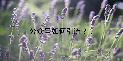 公众号如何引流？？