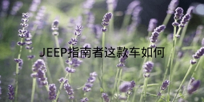 JEEP指南者这款车如何