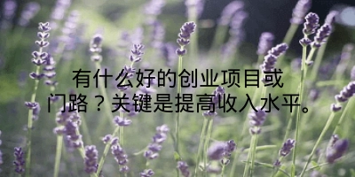 有什么好的创业项目或门路？关键是提高收入水平。