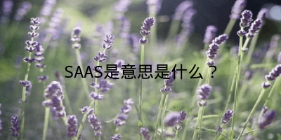 SAAS是意思是什么？