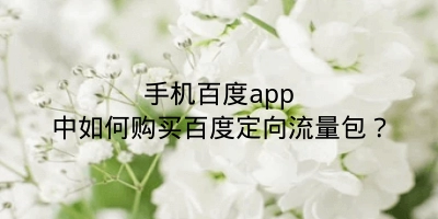 手机百度app中如何购买百度定向流量包？