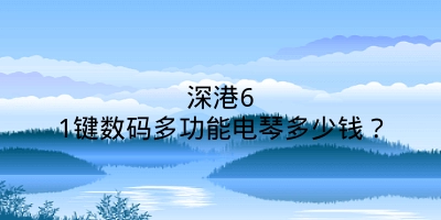 深港61键数码多功能电琴多少钱？