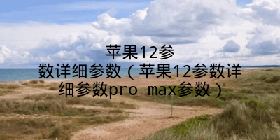 苹果12参数详细参数（苹果12参数详细参数pro max参数）