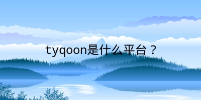 tyqoon是什么平台？