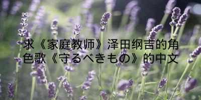 求《家庭教师》泽田纲吉的角色歌《守るべきもの》的中文