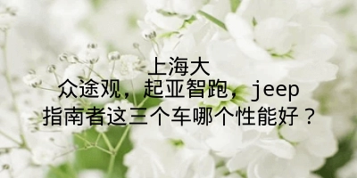 上海大众途观，起亚智跑，jeep指南者这三个车哪个性能好？