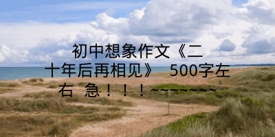 初中想象作文《二十年后再相见》 500字左右 急！！！~~~~~~~