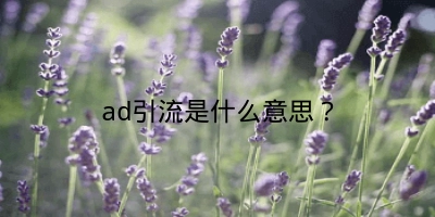 ad引流是什么意思？