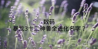 数码暴龙3十二神兽全进化名字？