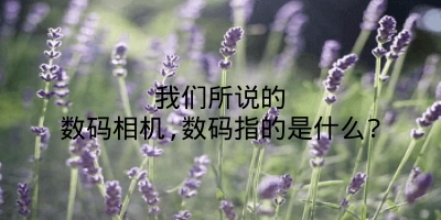 我们所说的数码相机,数码指的是什么?