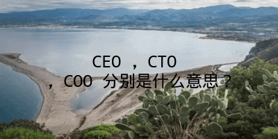 CEO ，CTO ，COO 分别是什么意思？