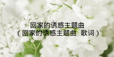 回家的诱惑主题曲（回家的诱惑主题曲 歌词）