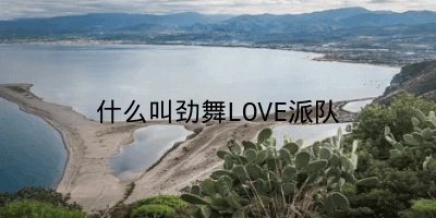 什么叫劲舞LOVE派队