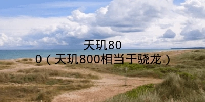 天玑800（天玑800相当于骁龙）