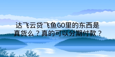 达飞云贷飞鱼GO里的东西是真货么？真的可以分期付款？