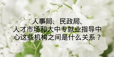 人事局、民政局、人才市场和大中专就业指导中心这些机构之间是什么关系？