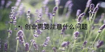 • 创业需要注意什么问题