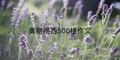 美丽揭西500格作文