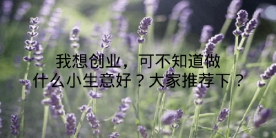 我想创业，可不知道做什么小生意好？大家推荐下？