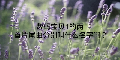 数码宝贝1的两首片尾曲分别叫什么名字啊？