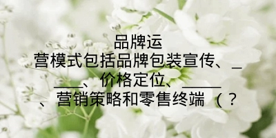 品牌运营模式包括品牌包装宣传、____、价格定位、____、营销策略和零售终端 (？