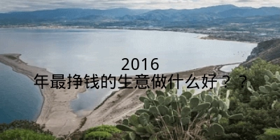 2016年最挣钱的生意做什么好？？