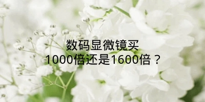 数码显微镜买1000倍还是1600倍？