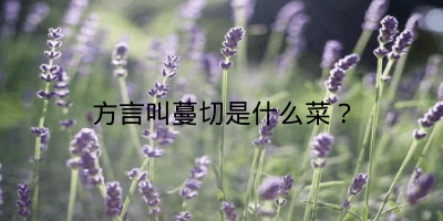 方言叫蔓切是什么菜？