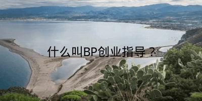 什么叫BP创业指导？