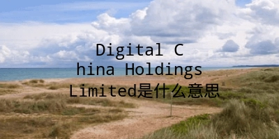 Digital China Holdings Limited是什么意思