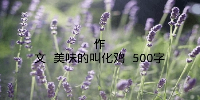 作文 美味的叫化鸡 500字