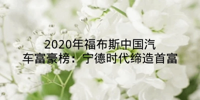 2020年福布斯中国汽车富豪榜：宁德时代缔造首富