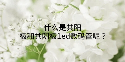 什么是共阳极和共阴极led数码管呢？