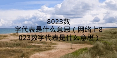 8023数字代表是什么意思（网络上8023数字代表是什么意思）